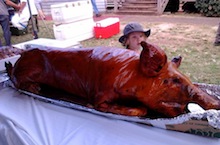 Whole roasted pig